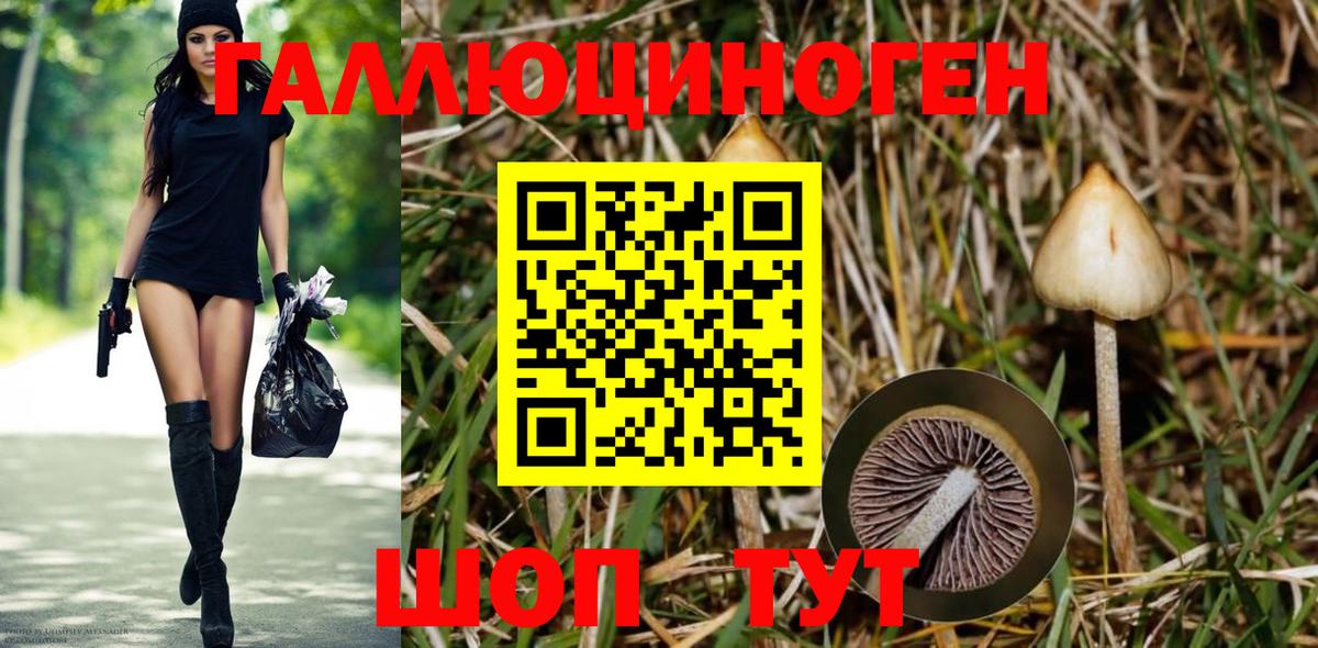 Псилоцибиновые грибы GOLDEN TEACHER  Вход с VPN  Алатырь 